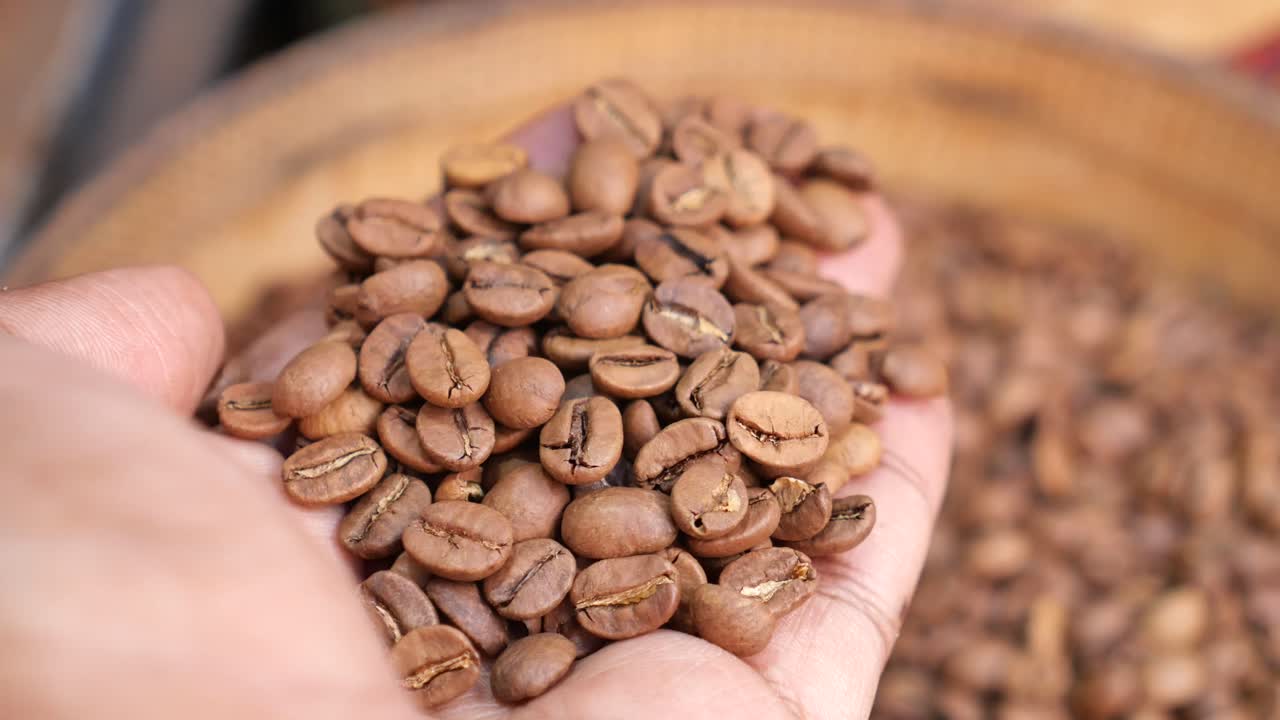Hand holding coffee beans