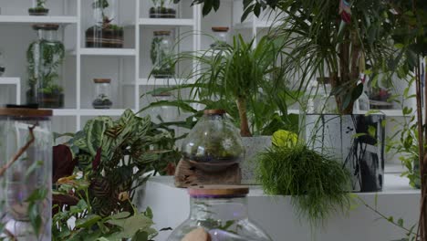 taller floral con pequeños ecosistemas en los terrarios - panorama del taller a la izquierda