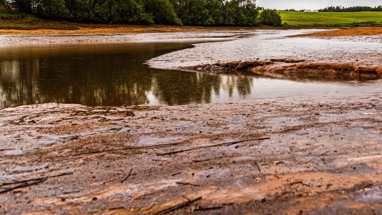 Time-lapse of riverbed drying as the tide goes out, with muddy banks and trees