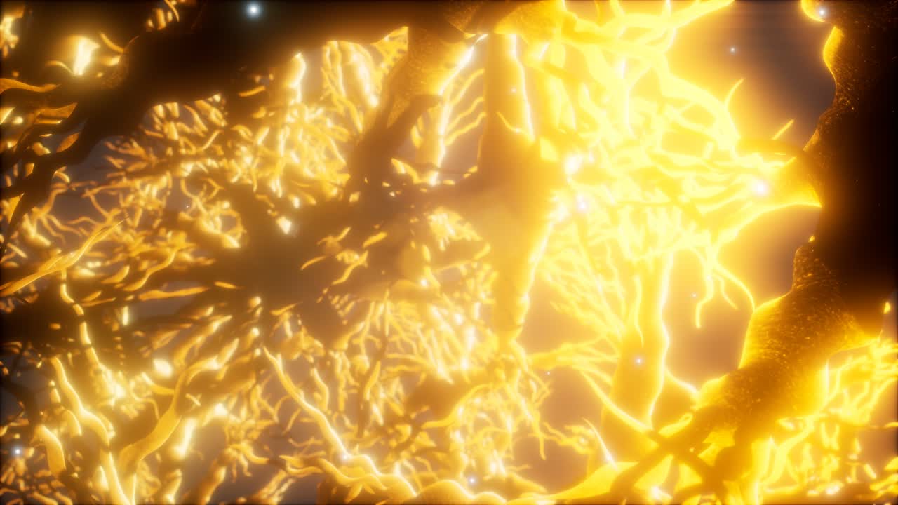 뇌 안의 신경 세포 네트워크를 통해 여행합니다.