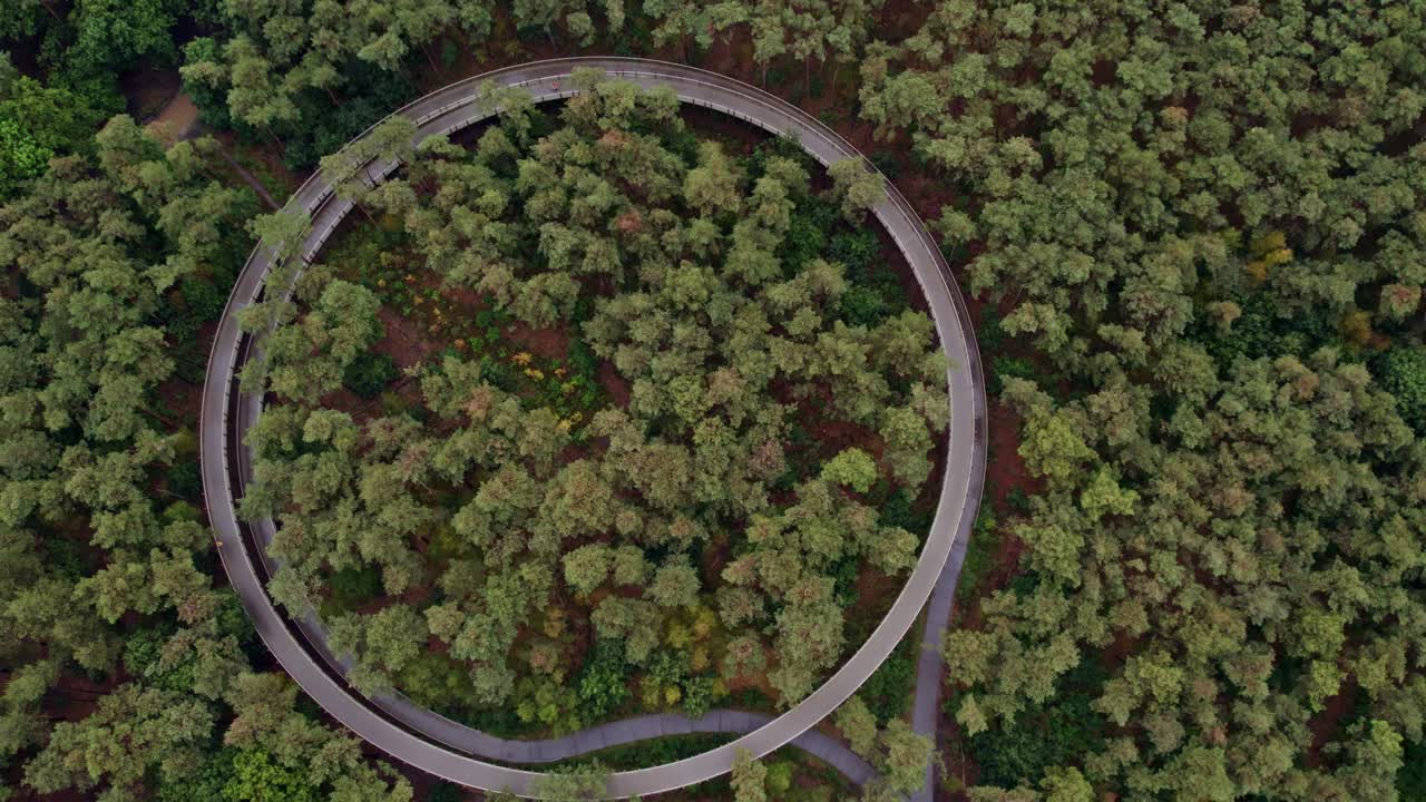 Woman biking in Hechtel-Eksel’s forest among trees