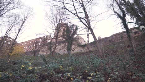 heidelberg castle view from the path below that leads up the the castle.