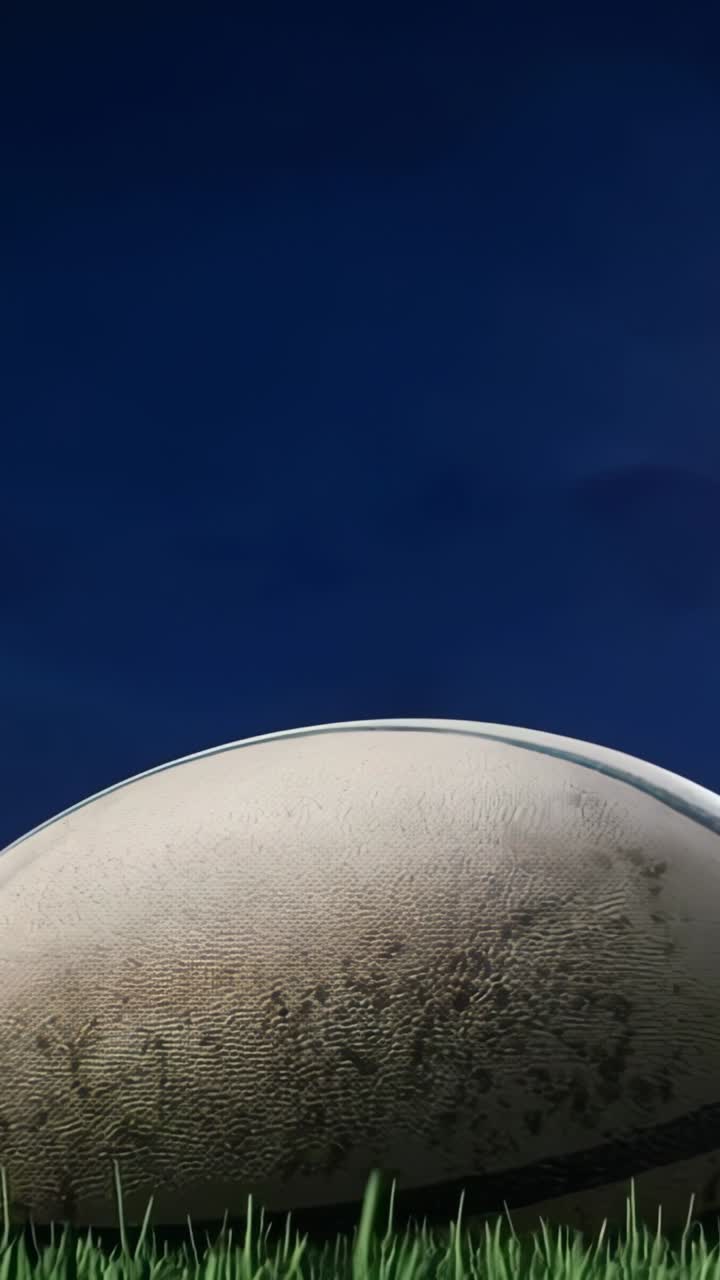 Vertical video: Tilting camera revealing puffball mushroom on field after opening close-up