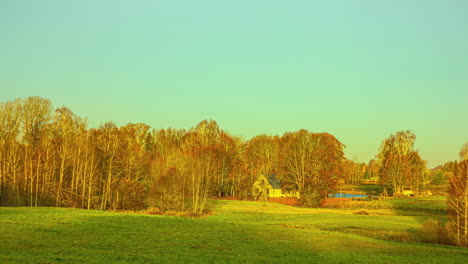 Trees-and-a-meadow-in-the-countryside-that-changes-from-summer-to-autumn-to-winter---time-lapse