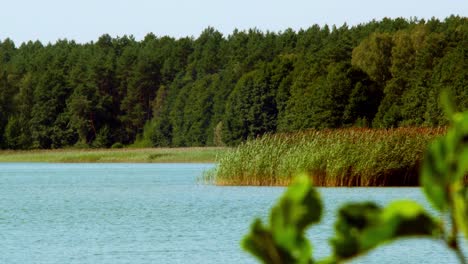 Wdzydze-See-Im-Kaschubischen-Landschaftspark-In-Der-Pommerschen-Woiwodschaft