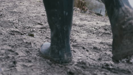 muddy boots walking along a muddy path, rear view, slow motion