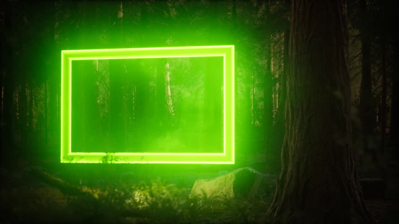 밤의 숲에서 네온 빛나는 직사각형 프레임