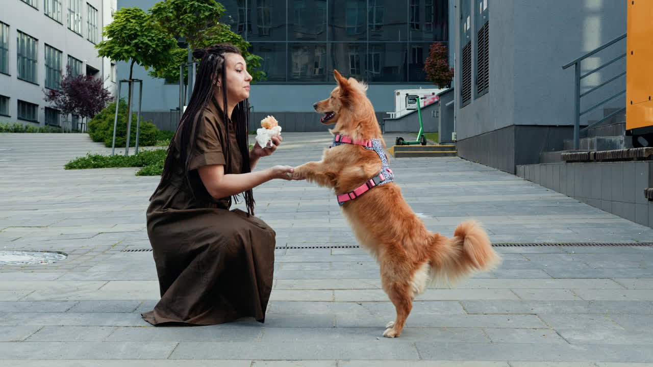 Woman Feeding Dog Treats in City