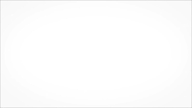 Christmas Gifts and New Year Celebration