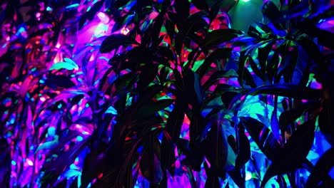 lush tropical foliage bathed in a spectrum of neon light, creating a vibrant and otherworldly scene, perfect for any project needing a touch of psychedelic or futuristic ambiance