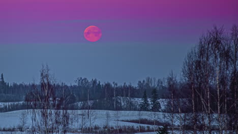 Vollmond,-Der-Durch-Den-Dunst-über-Einem-Winterwildniswald-Aufgeht---Zeitraffer