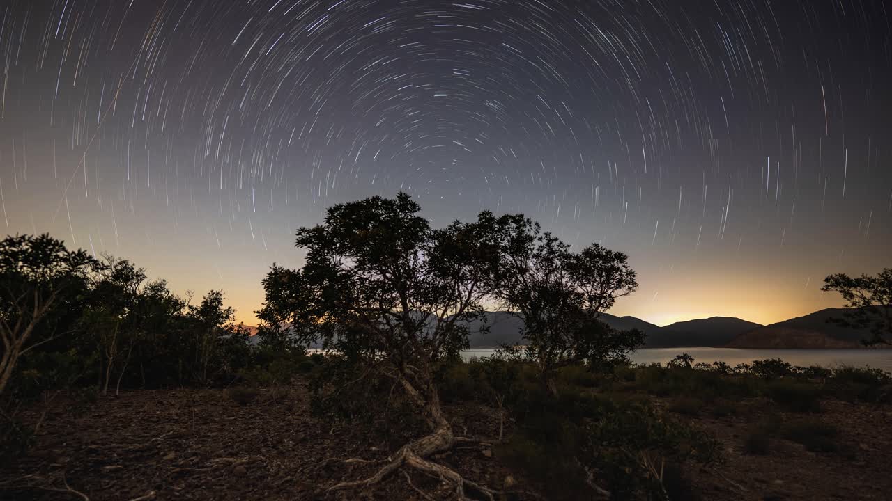 Vista del bellissimo movimento circolare delle stelle come punti bianchi luminosi in timelapse sopra gli alberi a Sai Kung, Hong Kong