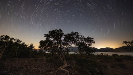 Vista-Del-Hermoso-Movimiento-Circular-De-Las-Estrellas-Como-Puntos-Blancos-Brillantes-En-Un-Lapso-De-Tiempo-Sobre-Los-árboles-En-Sai-Kung,-Hong-Kong