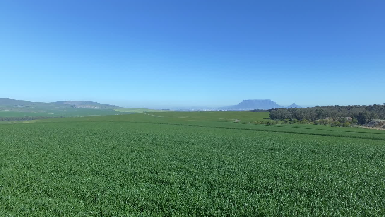 잔디는 항상 다른 쪽에서 더 푸르다