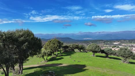 Aufsteigender-Flug-In-Einer-Grünen-Weidefläche-Mit-Bäumen-Und-Einem-Pfad,-Auf-Dem-Man-Eine-Berglandschaft-Mit-Wolken-Auf-Den-Gipfeln-Und-Einer-Stadt-Entdeckt,-Und-Ein-Blauer-Himmel-Mit-Wolken-In-Einem-Tal-In-Ávila,-Spanien