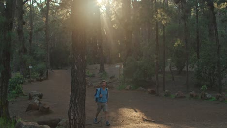 Männlicher-Wanderer,-Der-Im-Wald-Spaziert