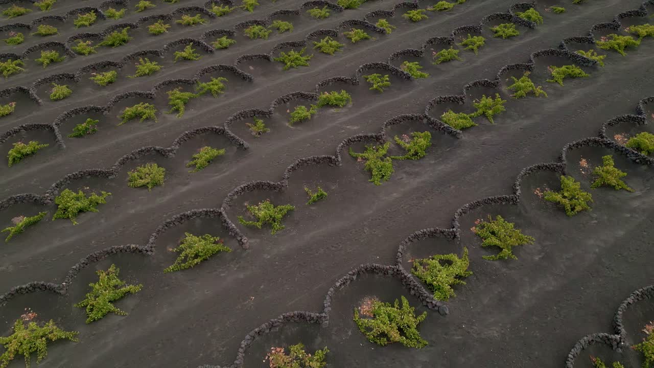 화산 지형의 농업