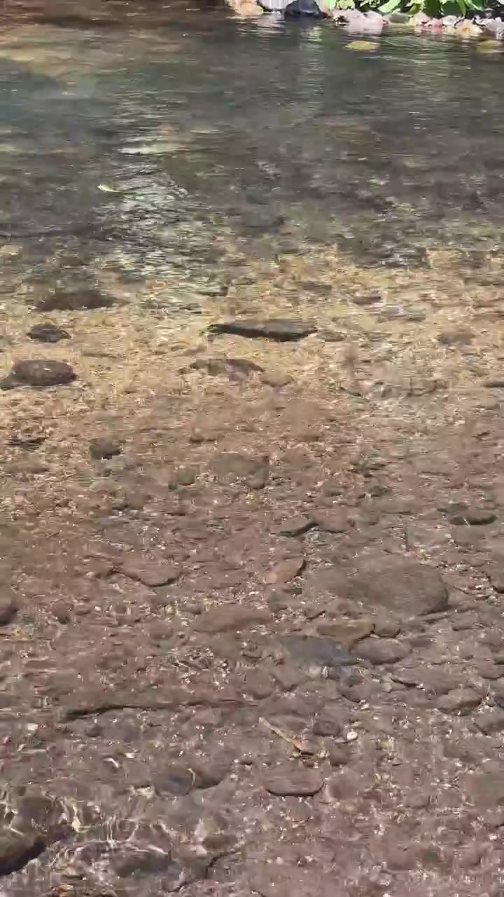 Clear Water Flowing Over Riverbed Rocks