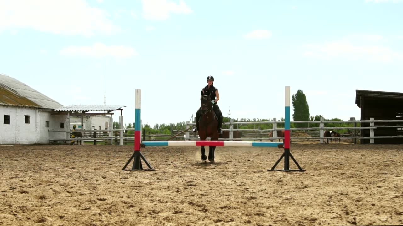 соревнования по скачкам на лошадях