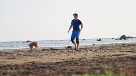 a man walks on the beach with his dog at håverdal nature reserve, a peaceful moment.