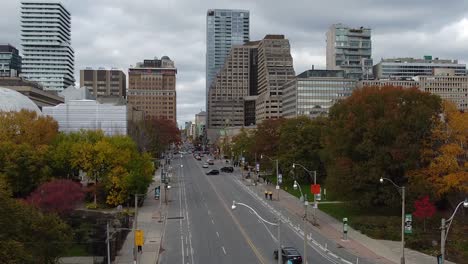 cropped city street with traffic lights, cars, colorful trees and buidlings