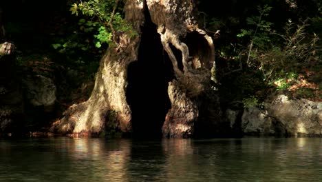 El-Río-De-Aoos-Que-Fluye-Frente-A-Un-árbol-Hueco