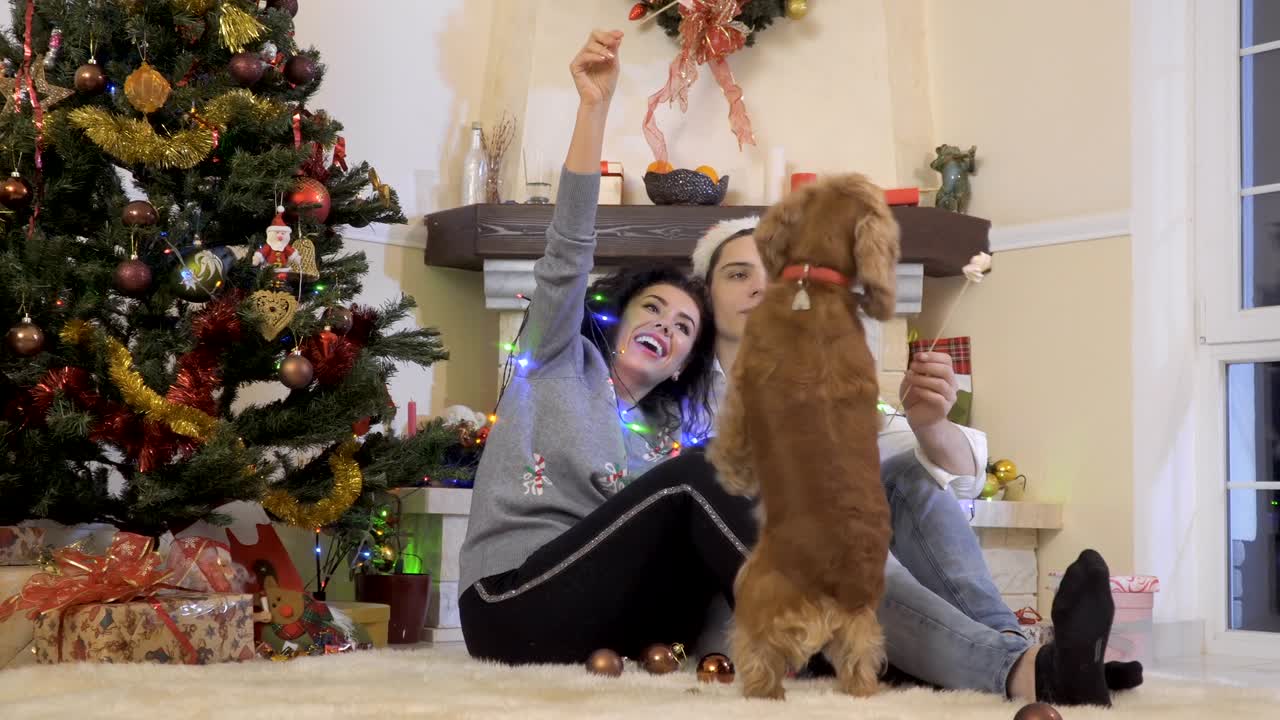 사랑에 빠진 행복한 부부는 크리스마스 트리 근처에서 마쉬멜로를 먹습니다.