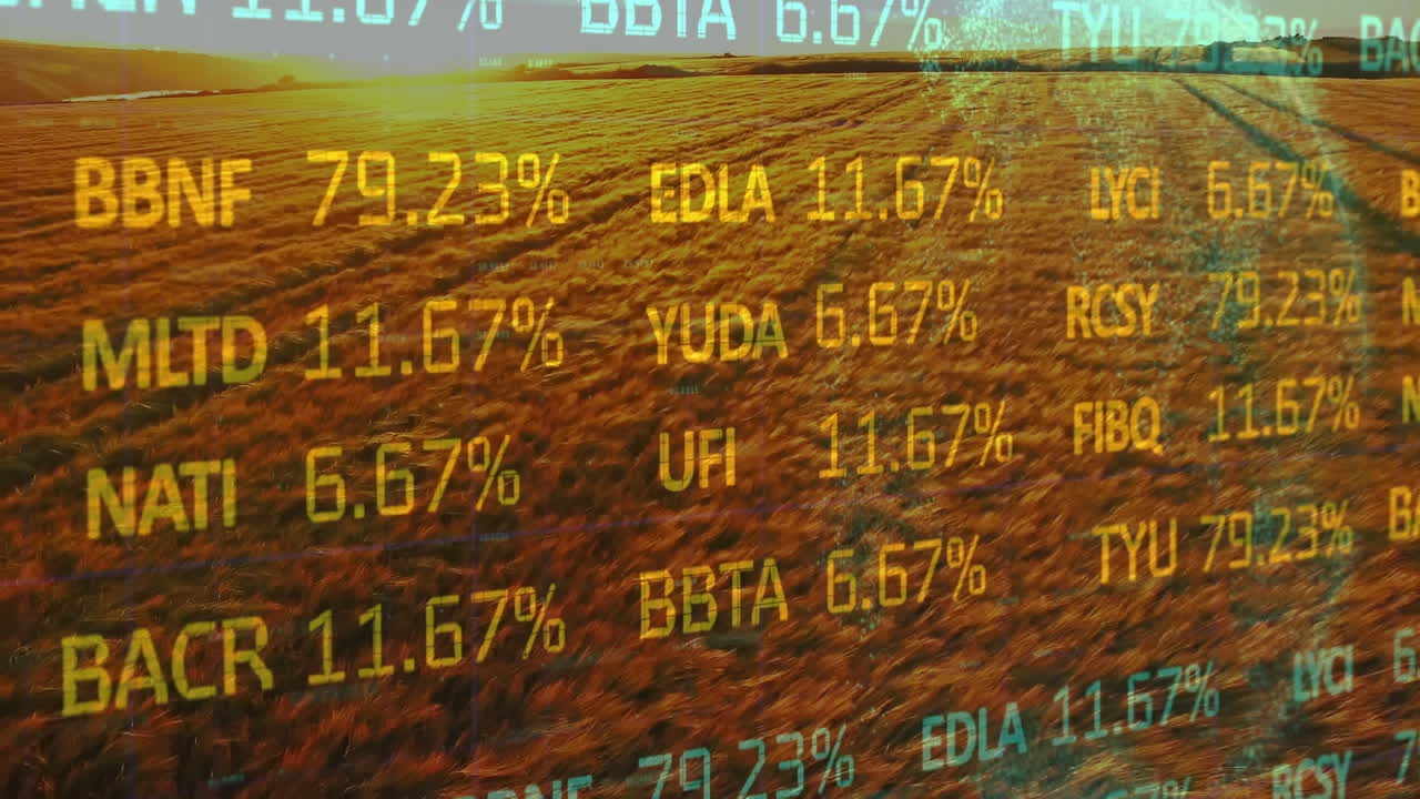 Animation der Finanzdatenverarbeitung über einem Agrarfeld