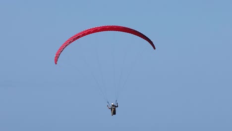 paraglider descending over ocean in nambucca heads