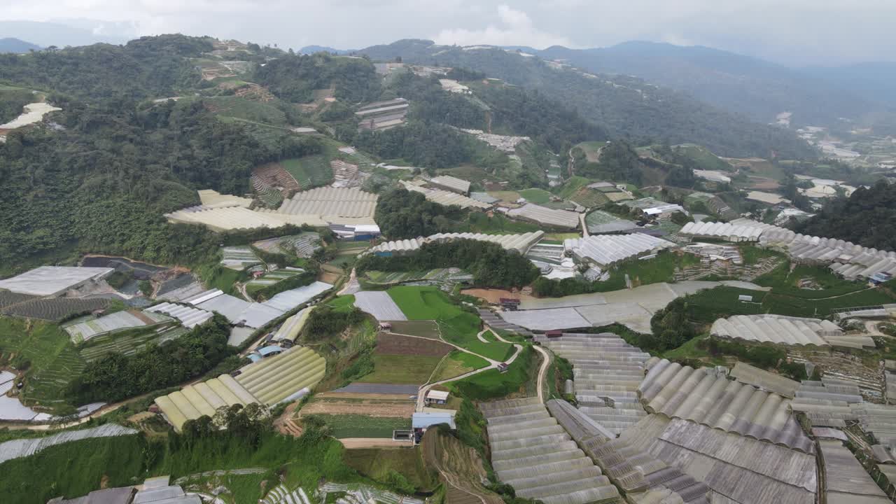 말레이시아의 카메론 하이랜드 지역 내의 브린창 지역의 일반 풍경