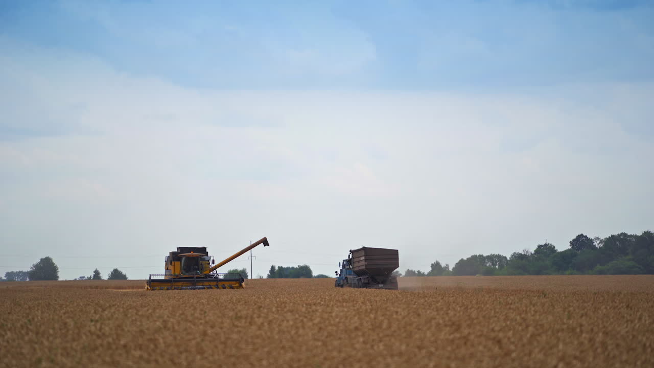 Yellow harvester machine stopped in the field and combiner examining it from outside. Tractor approaching the harvester to upload the crops.