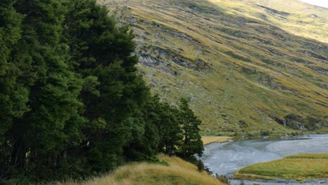 Wide-shot-of-Rural-River-Scenery-beside-green-mountains-at-Rob-Roy-Glacier-Track-|-Wanaka,-New-Zealand