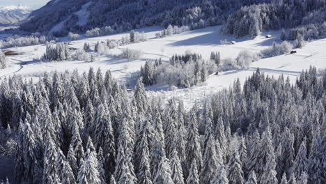 snowy alpine valley