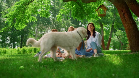Labrador-walking-around-family-on-picnic.-Joyful-dog-play-with-people-on-nature.