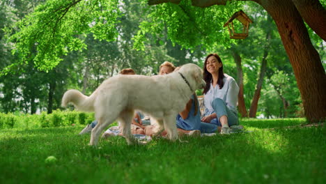 labrador caminando por la familia en un picnic. juega un perro alegre con la gente en la naturaleza.