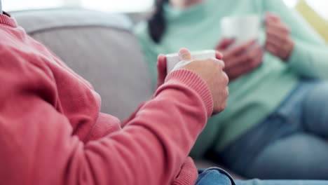 couple of friends, coffee and talking on home sofa