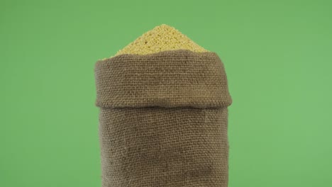 rotating a full bag of millet grain. close-up.