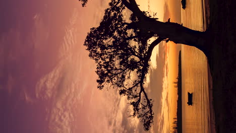Colorful-sunset-reflecting-off-the-sea-with-the-silhouette-of-a-tree-in-the-foreground---vertical-time-lapse
