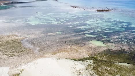 Drone-Aéreo-Estático-De-Pescadores-Solitarios-Que-Buscan-Mariscos-Durante-La-Marea-Baja-Con-Impresionantes-Arrecifes-De-Coral-Y-Bancos-De-Arena-En-Una-Isla-Tropical-Remota