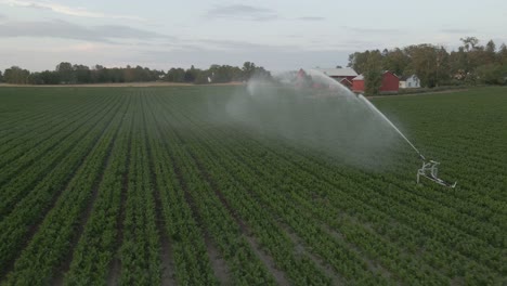 Drohnenaufnahmen-Von-Feldbewässerungssprinklern,-Die-Bei-Sonnenuntergang-Wasser-Sprühen