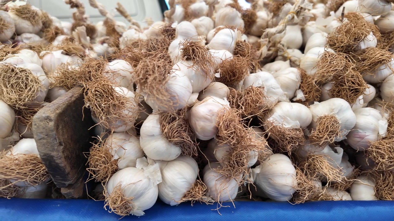Teste d'aglio fresche esposte in un mercato locale