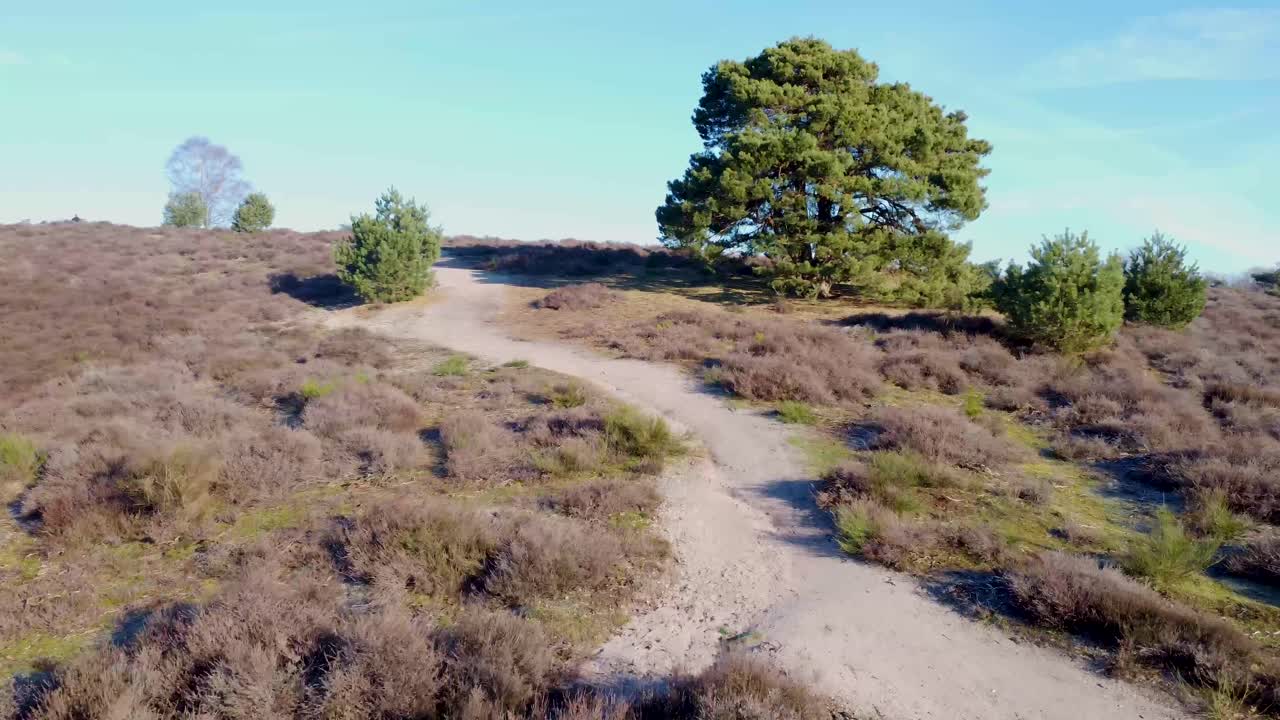 tiro de drone de camino a través del parque nacional de la naturaleza
