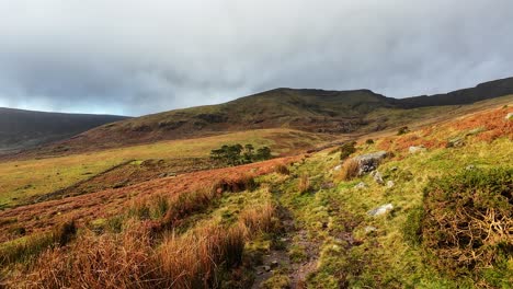 ireland mountains trail to old farmstead in the comeragh mountains waterford epic locations and landscapes in irish countryside
