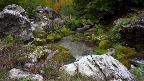 stream with clear water falling from mountain across mossy stones and forest trees at autumn