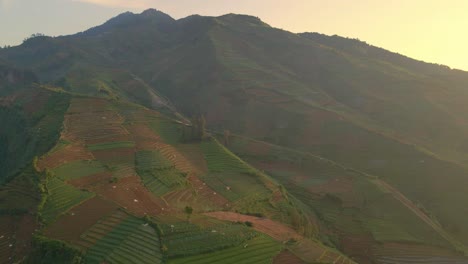 Aerial-view-of-plantation-and-panoramic-hillside-on-mountain