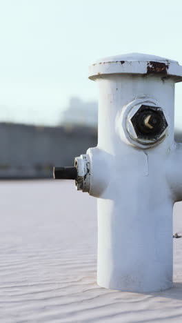 a white fire hydrant in the sand