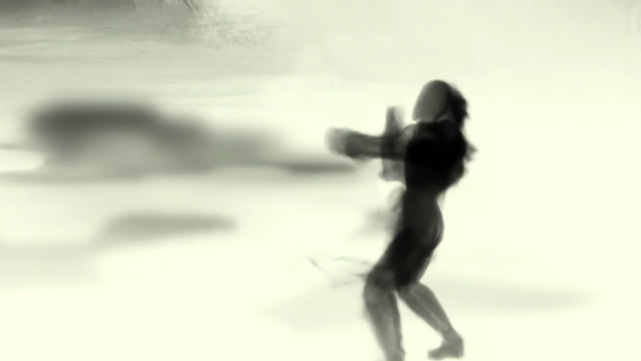 paisaje misterioso animación de arte digital oriental tradicional de china, pintura china retro tinta montaña brumosa con flores, árboles, pájaros, río en el fondo de la niebla