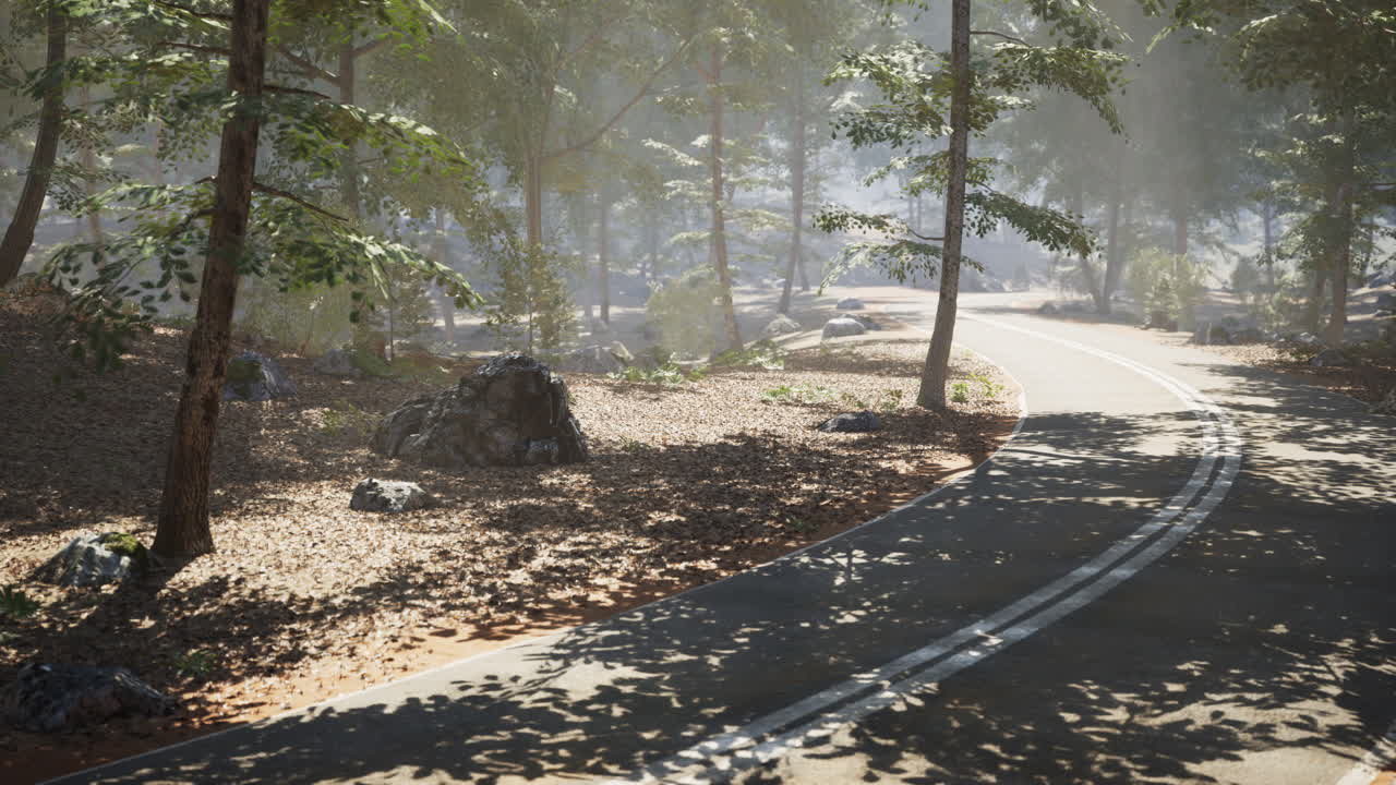 낮에는 조용한 숲을 가로질러 휘어지는 길