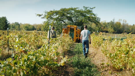 Vinters-Walking-in-Vineyard