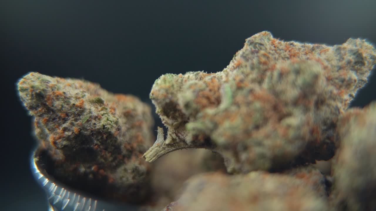 Close-up macro of a man handling cannabis buds, detailed textures and bright trichomes creating a strong, marketable stock visual. slow motion 120 fps